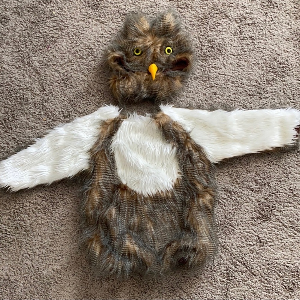 Pottery Barn Woodland Owl Toddler Costume